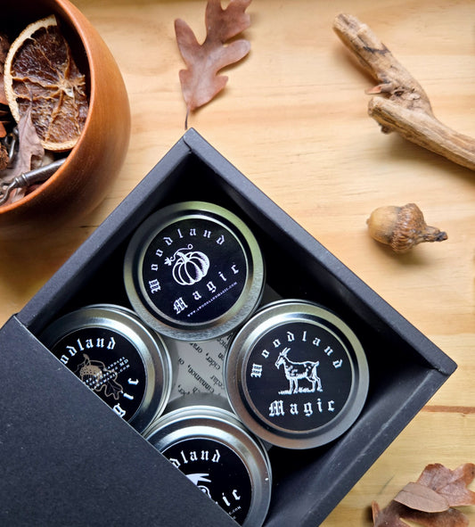 Fall Favorites Sampler Pack