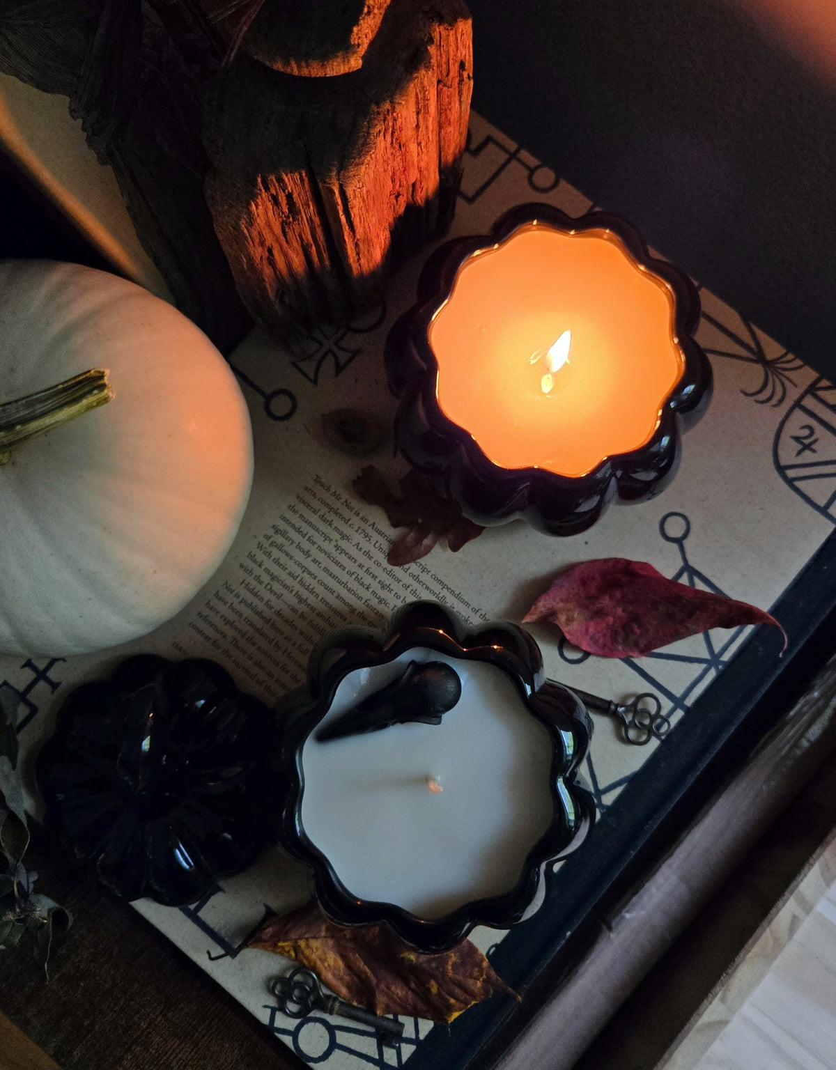 Volumes of Forgotten Lore Poe Pumpkins