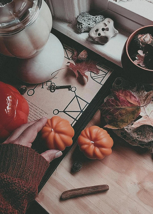 Autumnal Set of Pumpkins