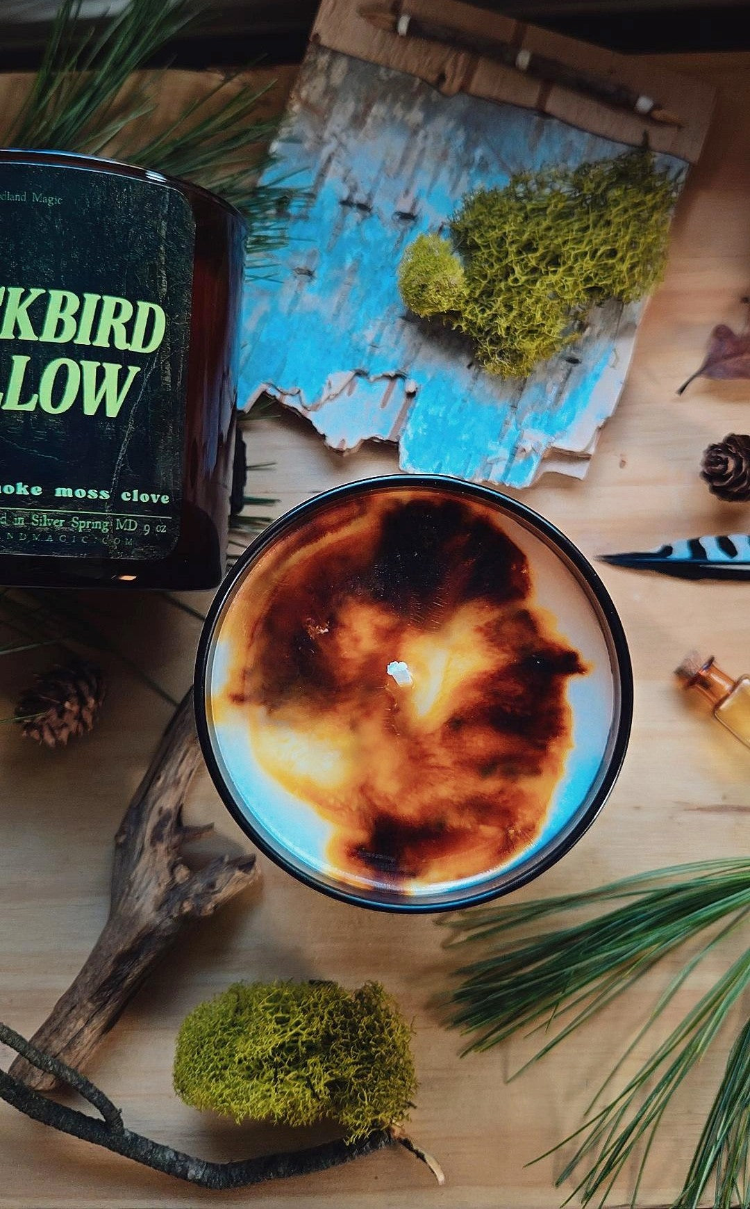 Limited release: Blackbird Hollow Tumbler