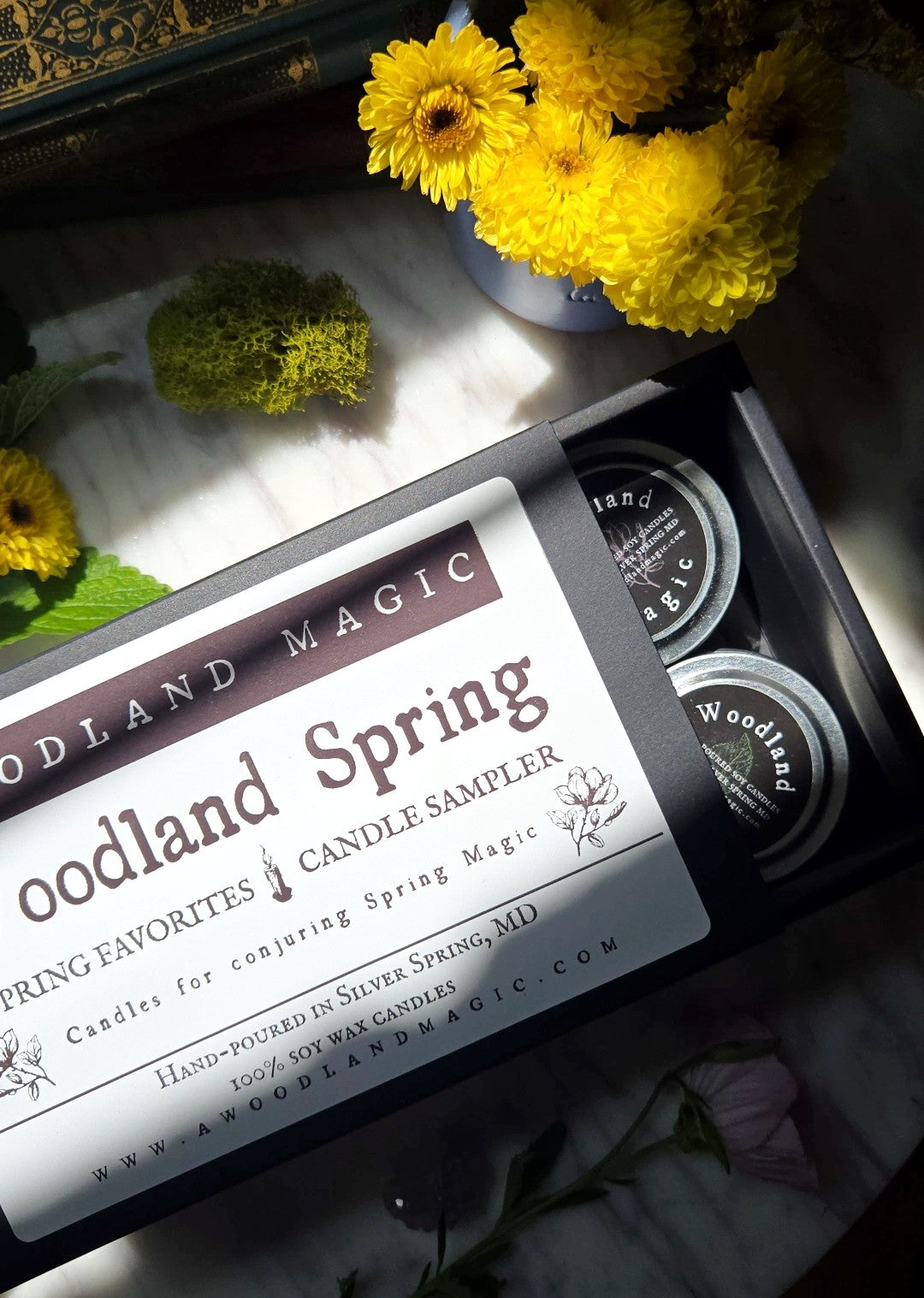 Woodland Spring Favorites Sampler