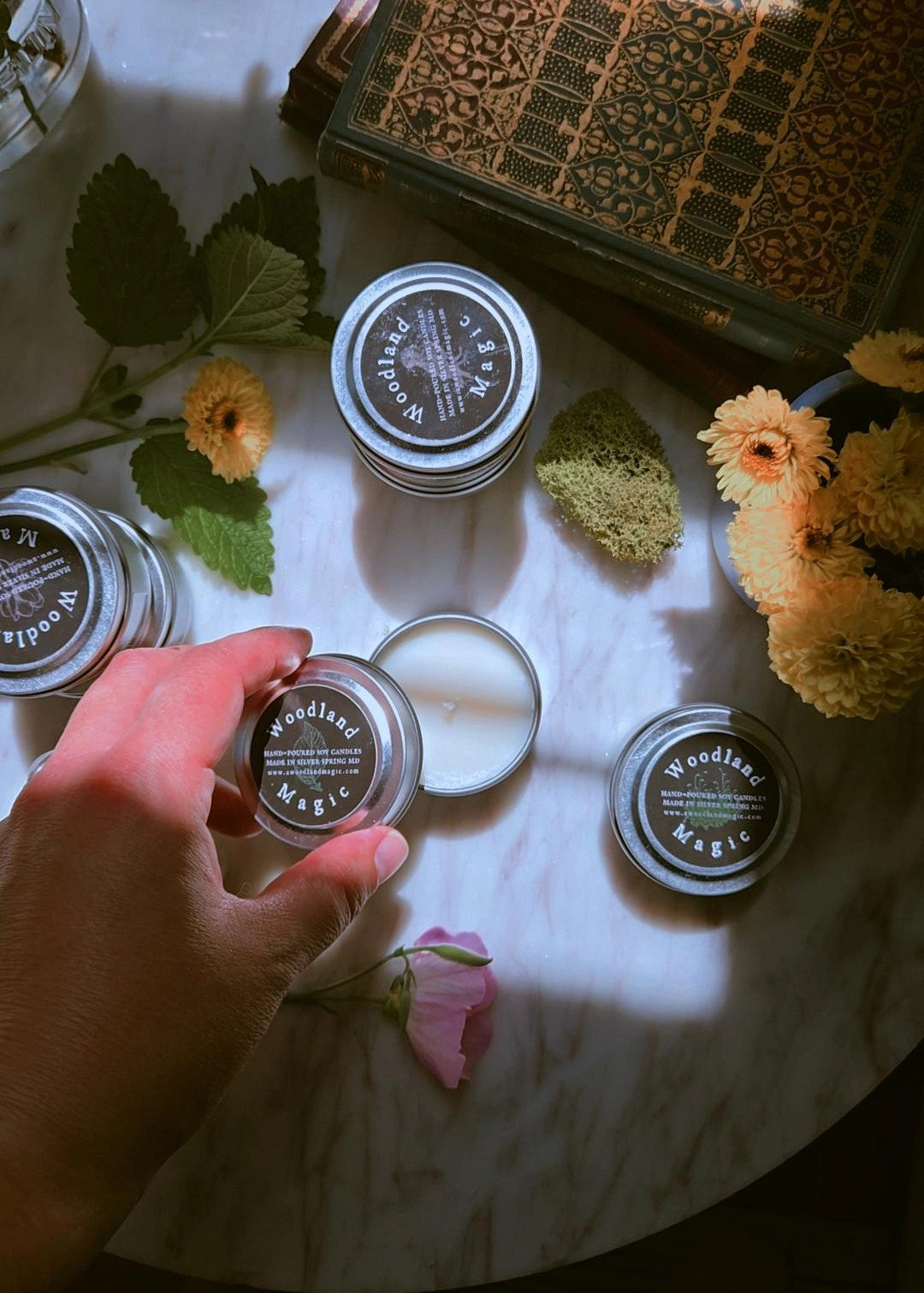 Woodland Spring Favorites Sampler