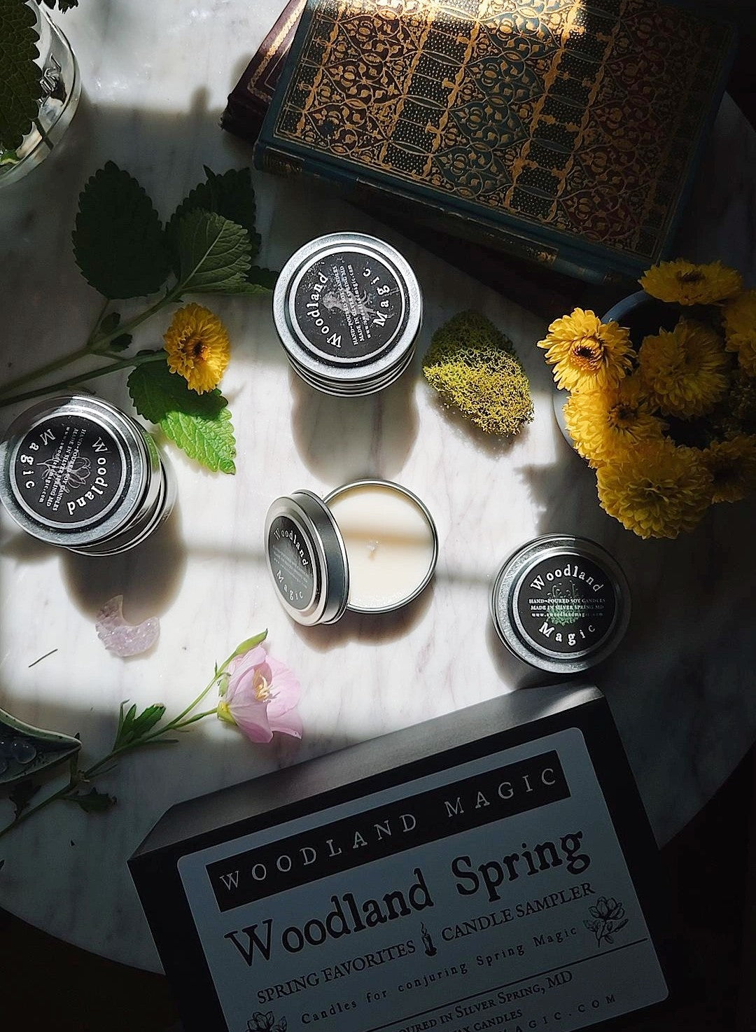 Woodland Spring Favorites Sampler