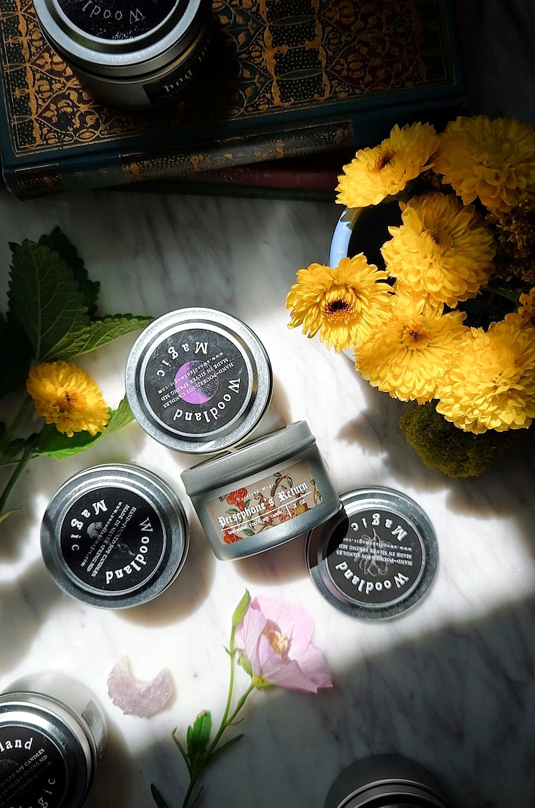 Woodland Spring Favorites Sampler