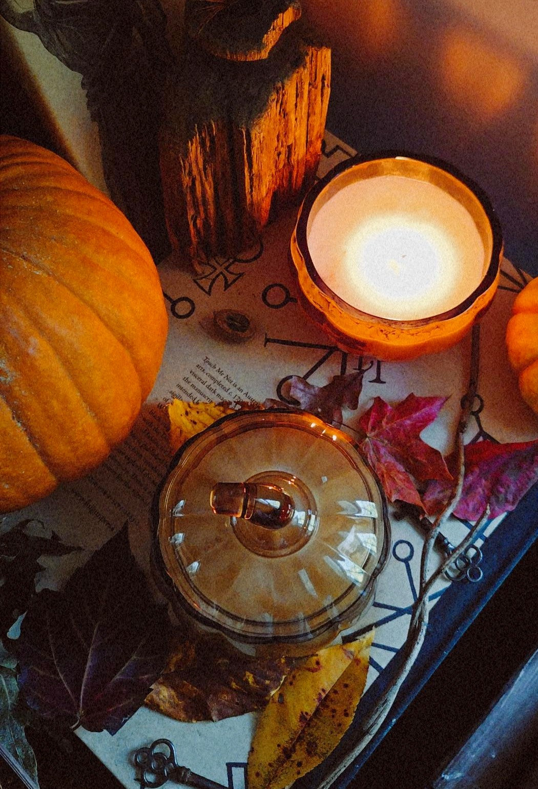 Pumpkin Cottage Pumpkins