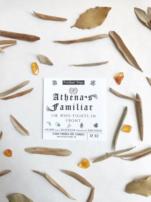 Athena's Familiar Owl